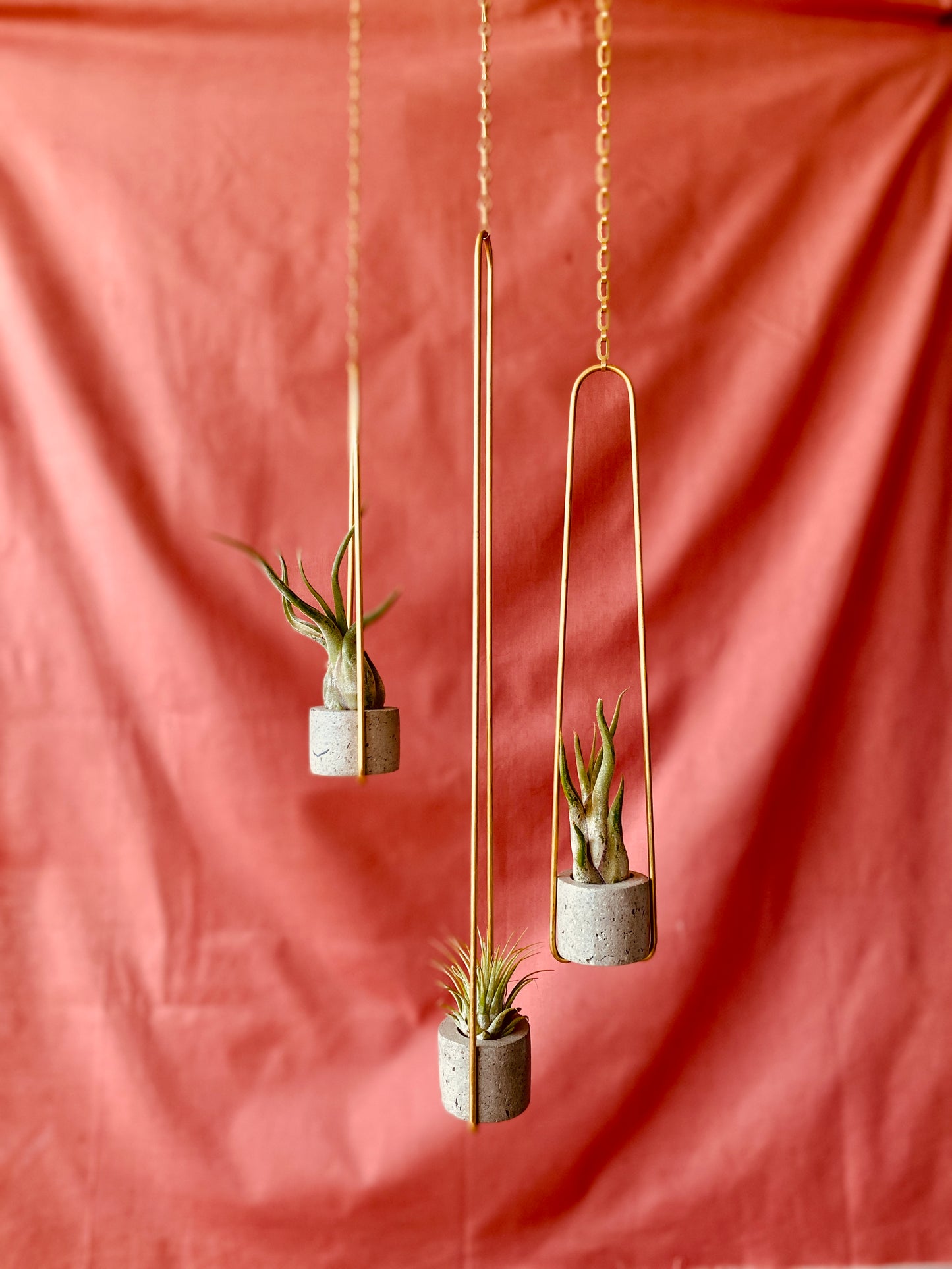 Hanging Ring Air Plant Holder | Natural Gray