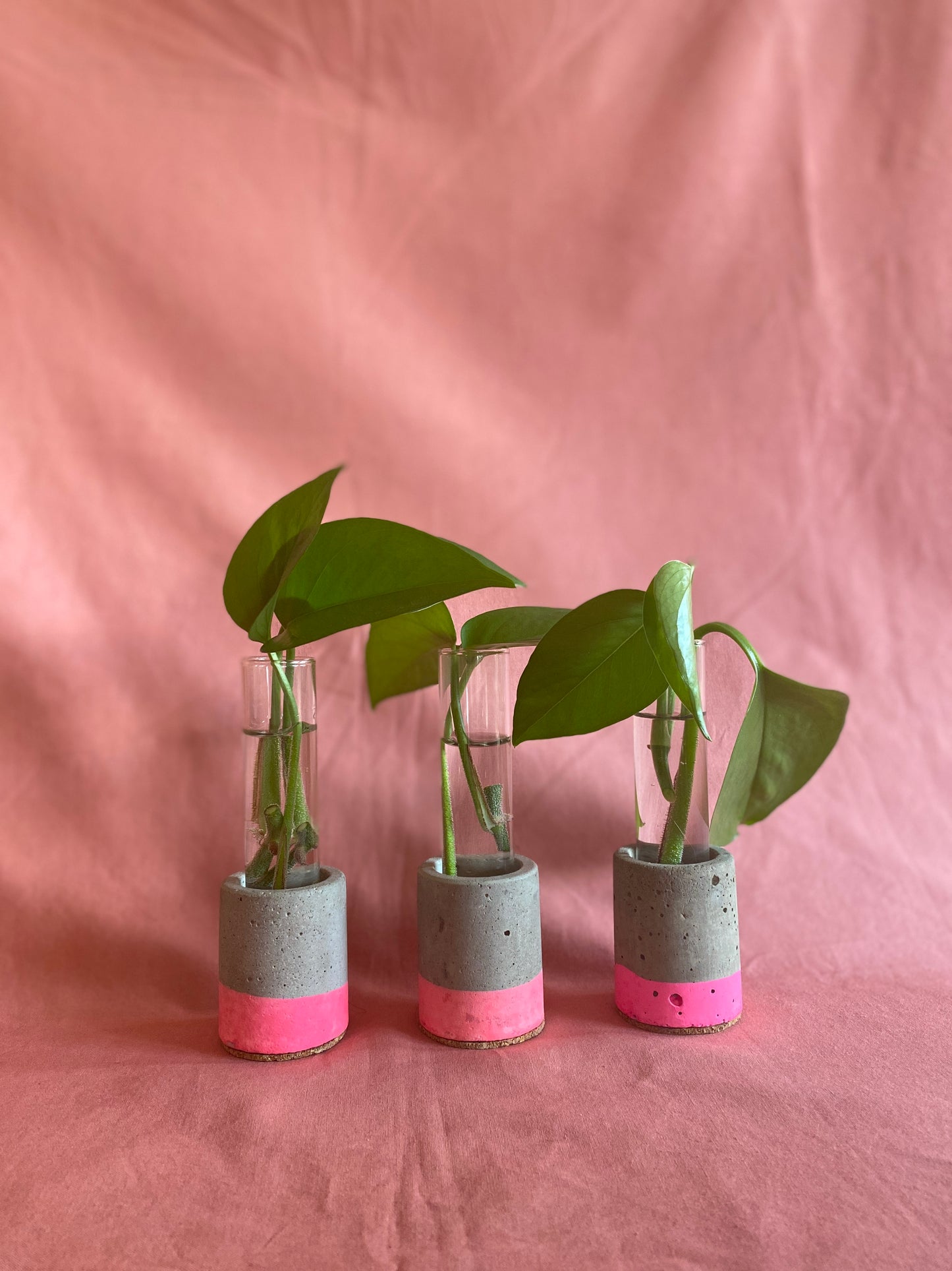 Pink Dipped Propagation Stand