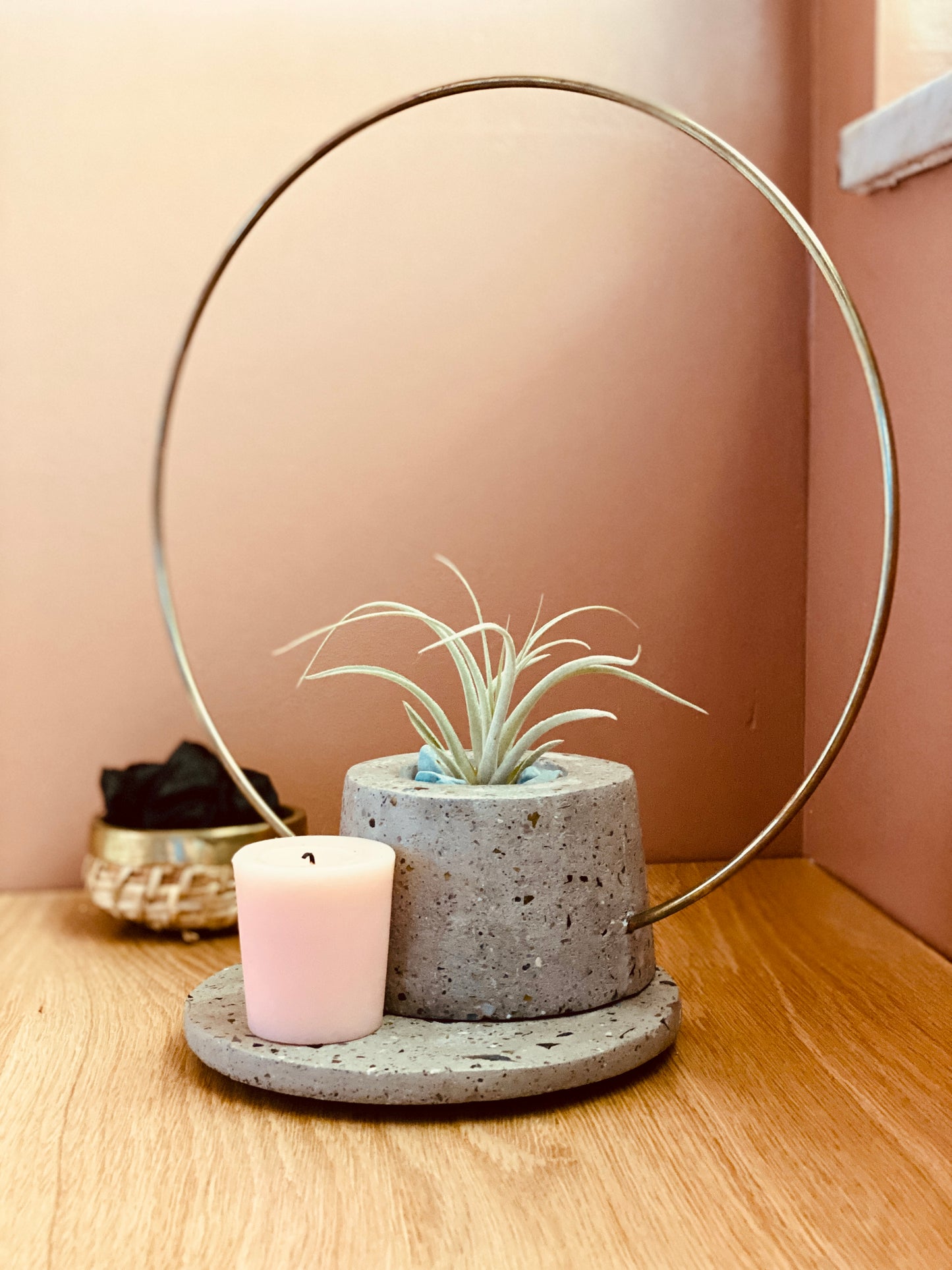 Gold Hoop Air Plant Holder & Tray