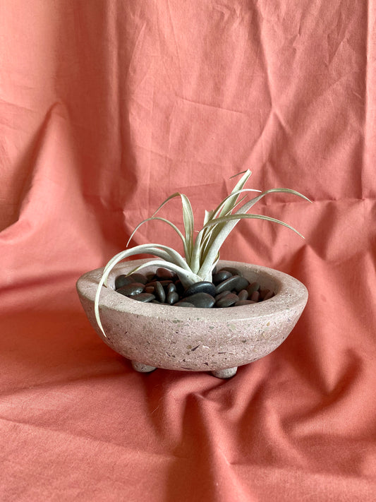 Pink Bowl Planter with Feet | Batch #44