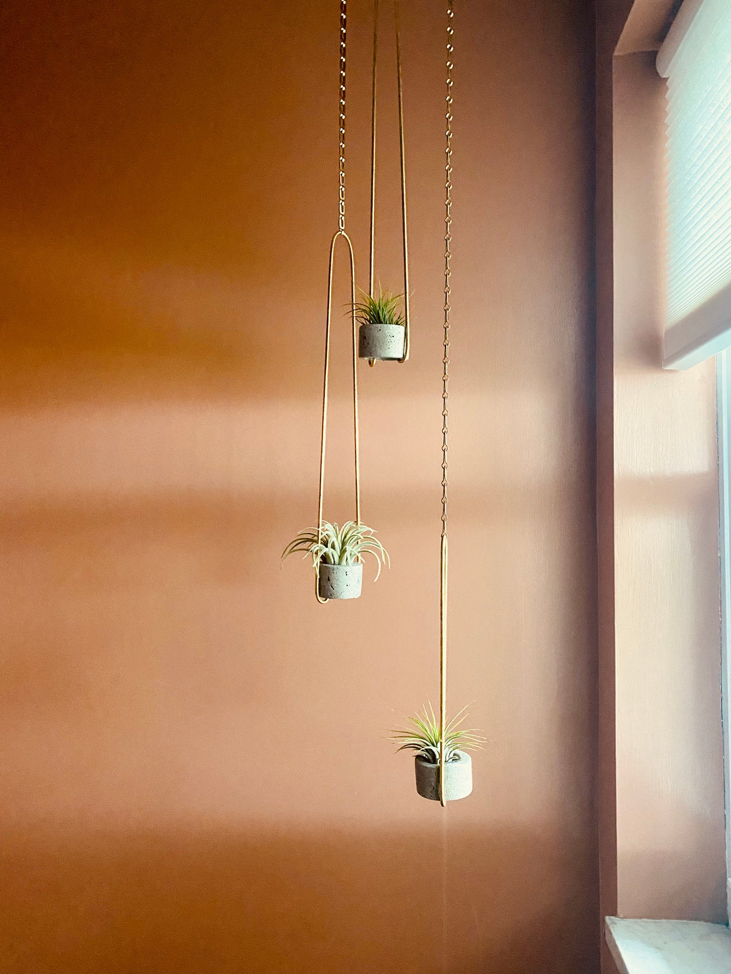 Hanging Ring Air Plant Holder | Natural Gray