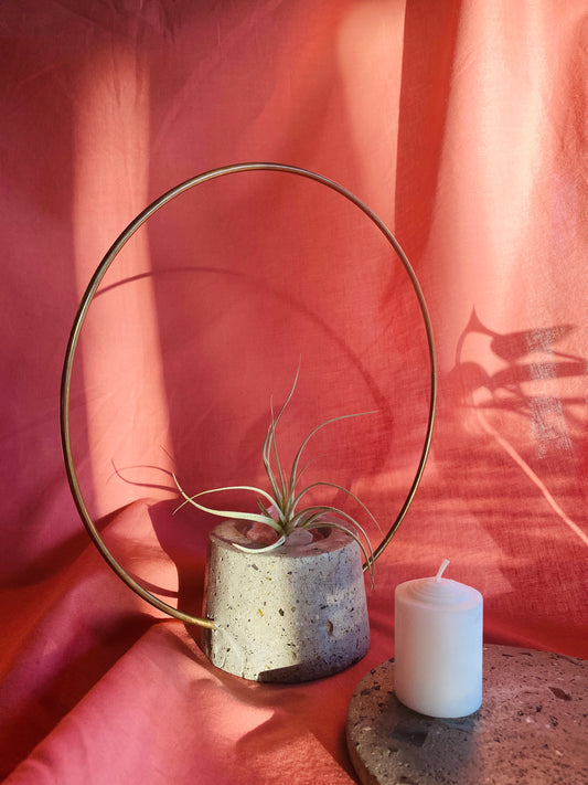 Gold Hoop Air Plant Holder & Tray