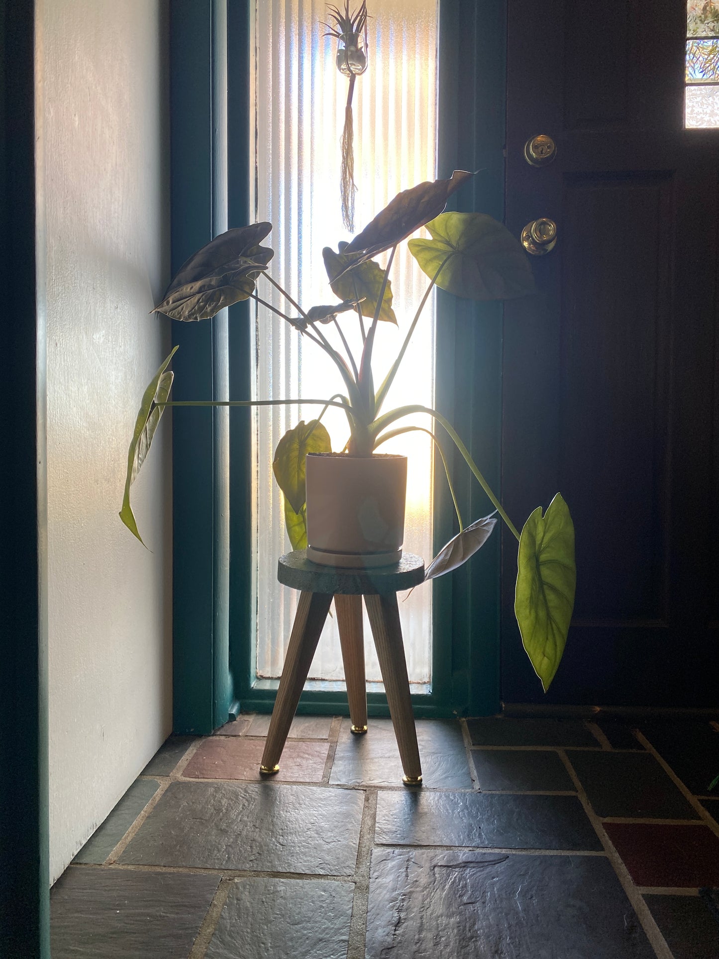 Funky Plant Stand | No.04